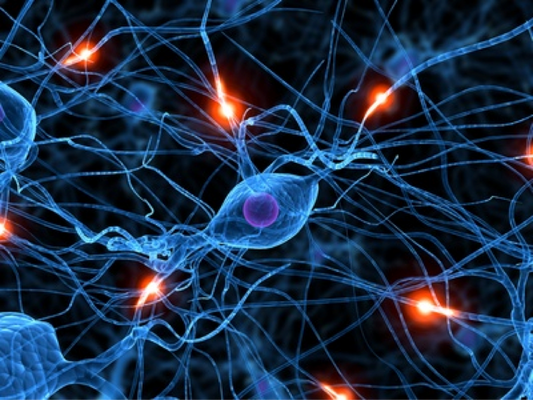 Epitalon - The Longevity Peptide